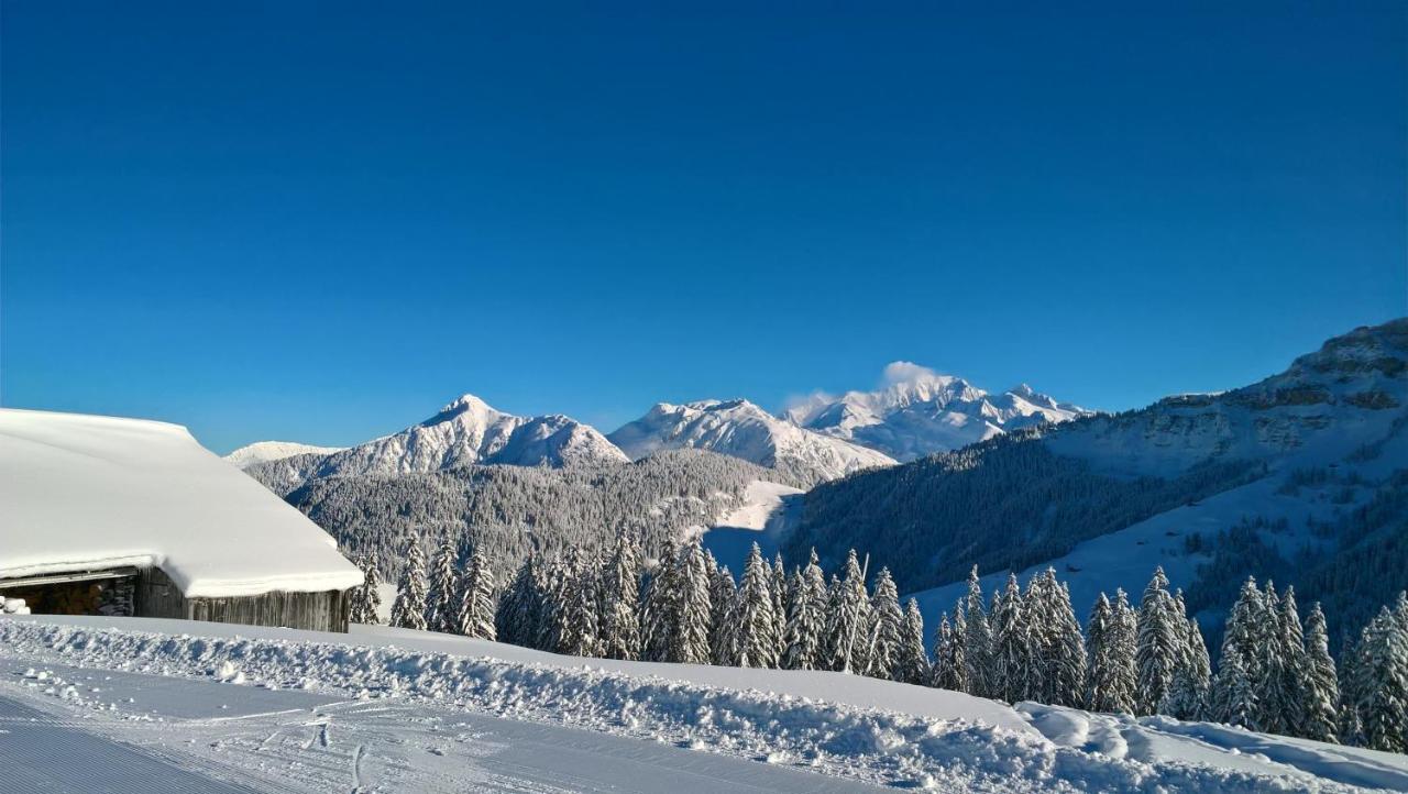 Hotel Du Grand-Mont Beaufort  Kültér fotó